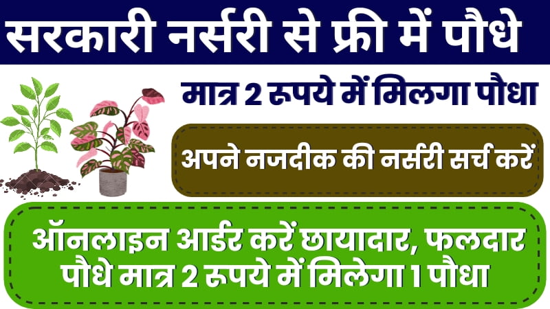 Online Free Loan Plant Order Process, बरसात में लगाए घर पर पौधे,सरकारी नर्सरी में आर्डर बुक करें