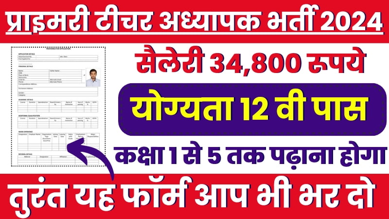 JBT Teachers Vacancy 12 August,प्राइमरी टीचर भर्ती नोटिफिकेशन हुआ जारी, एक साथ इतने ज्यादा पदों पर